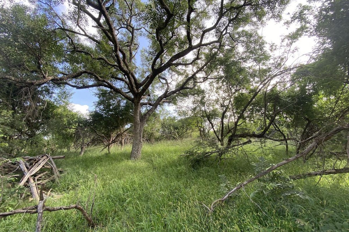 River Front Stand for Sale in Sharalumbi Wildlife Estate - Photo 5