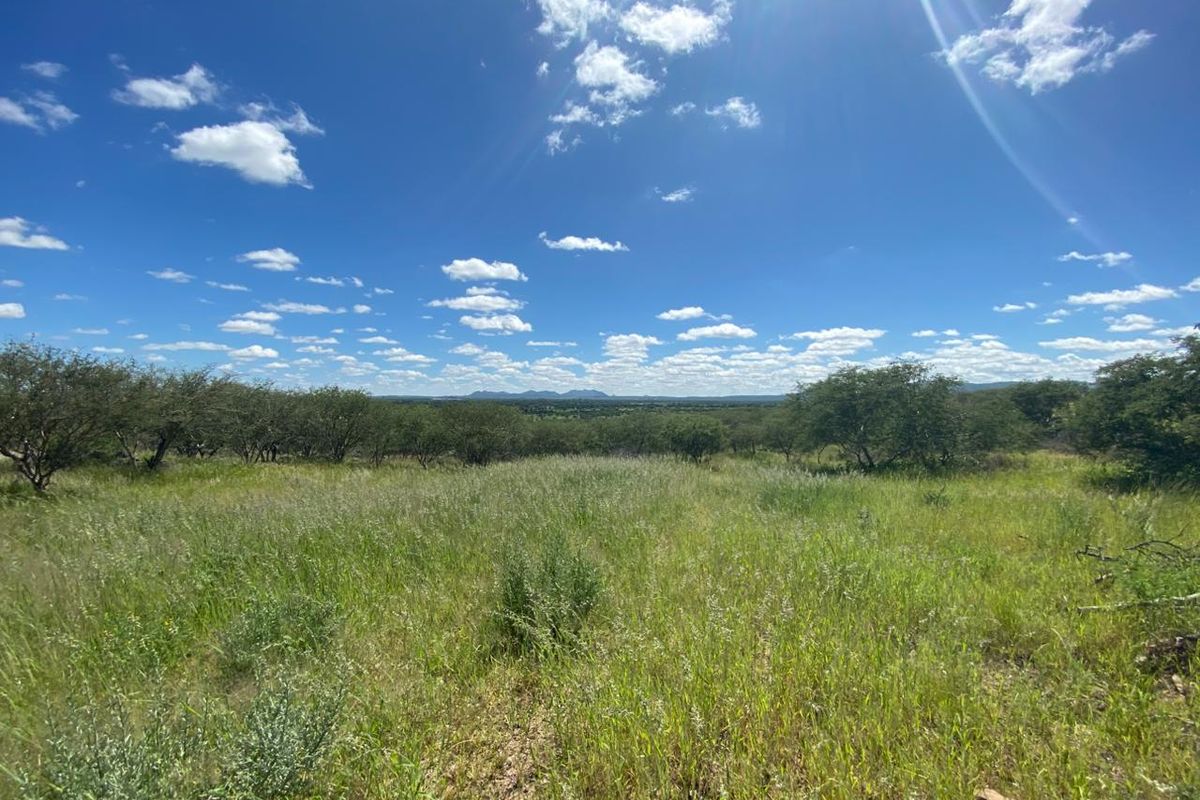 A scenic view of the expansive natural landscape and indigenous vegetation on the small holding, showcasing the open terrain and distant horizon.