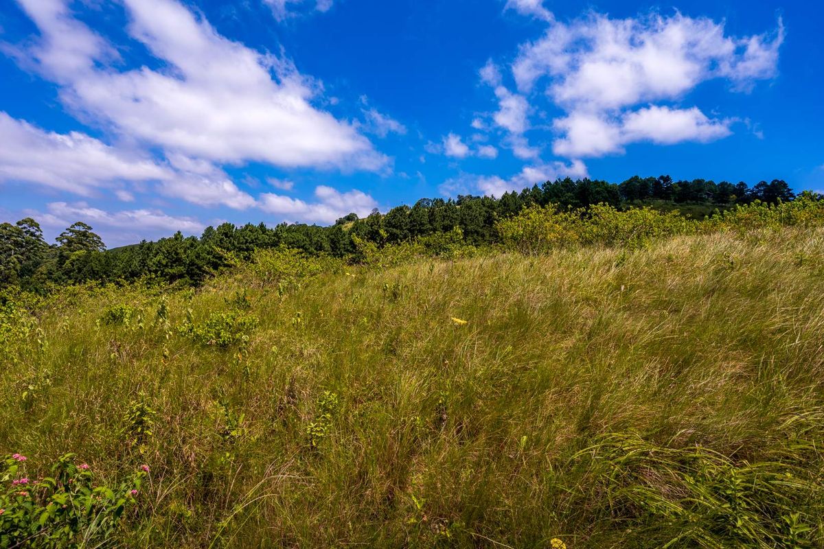 Wonderful Land in Stoneford Country Estate - Photo 5