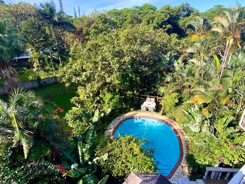 Elevated view of a private swimming pool set within a lush, landscaped garden featuring a thatched gazebo and paved patio area.