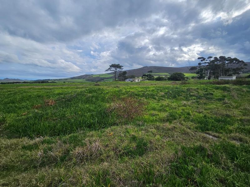 Expansive 10.97 Hectare Lifestyle Farm with Scenic Views - Photo 10