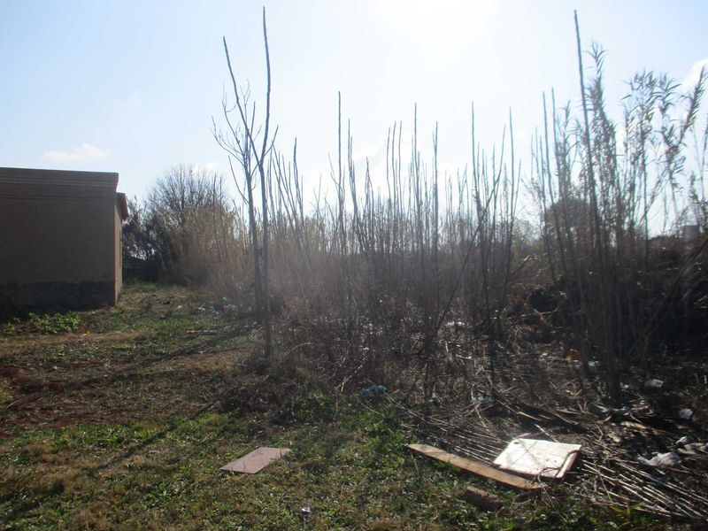 A view of an undeveloped residential plot featuring overgrown natural vegetation and scattered debris on the ground.