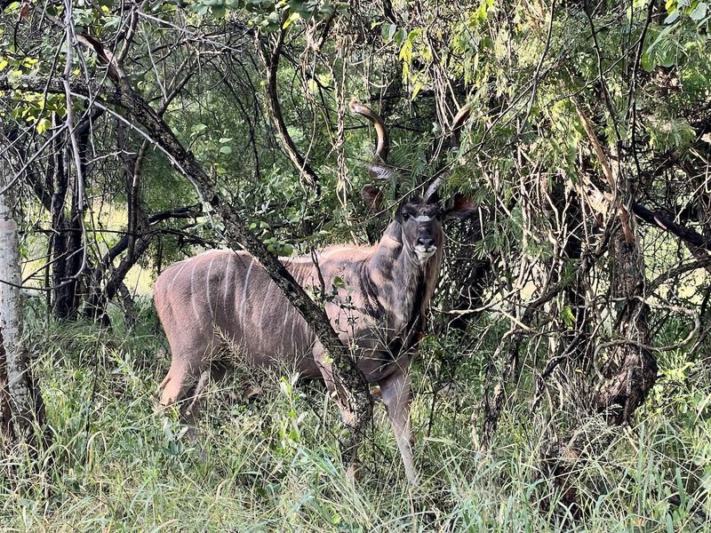 Riverfront Stand Now Available! - Photo 3