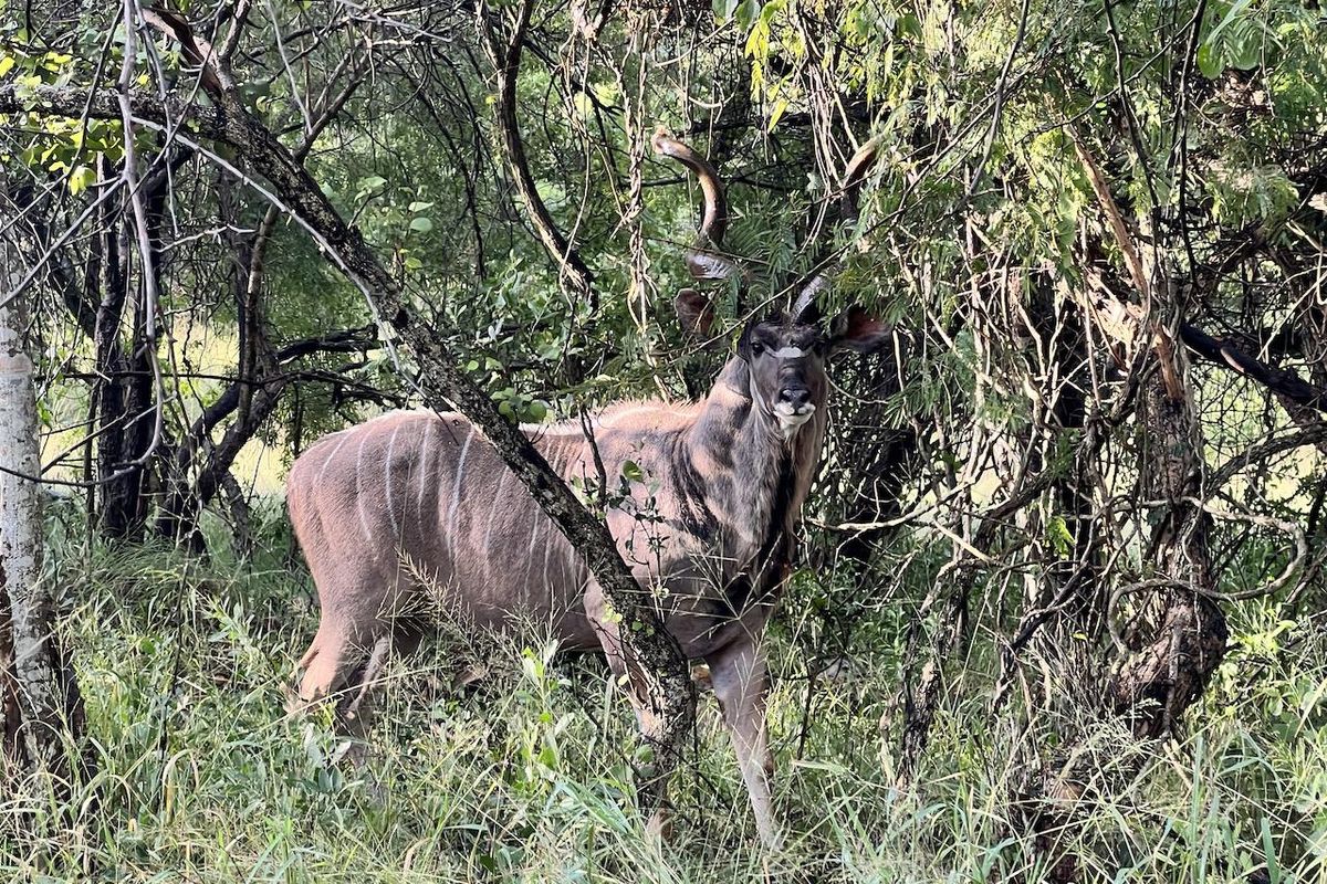 Riverfront Stand Now Available! - Photo 3