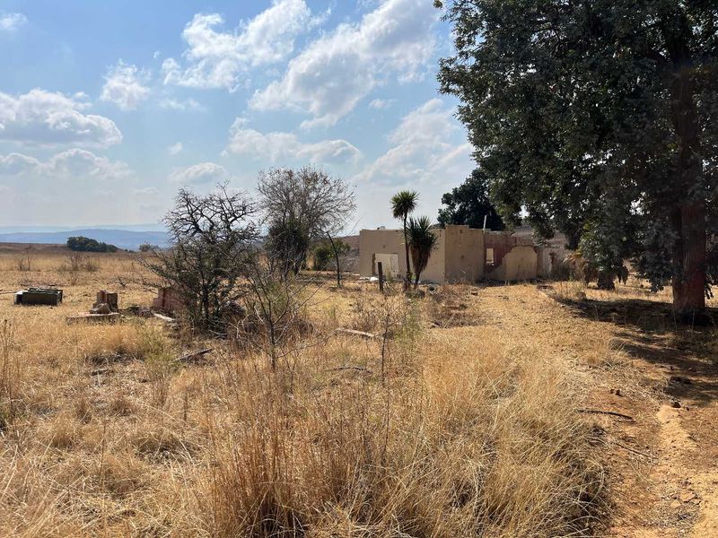 Huge Land with lots of potential - Photo 6