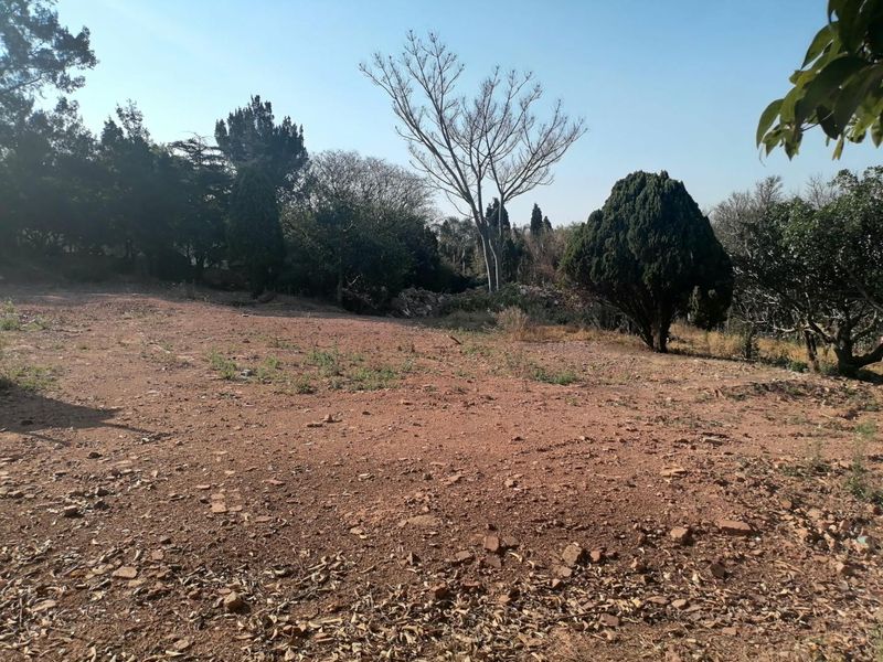 A view of a vacant residential plot featuring cleared ground and established mature trees.