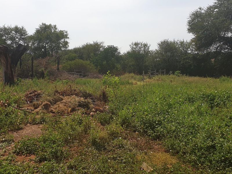 Land for Sale - Photo 2