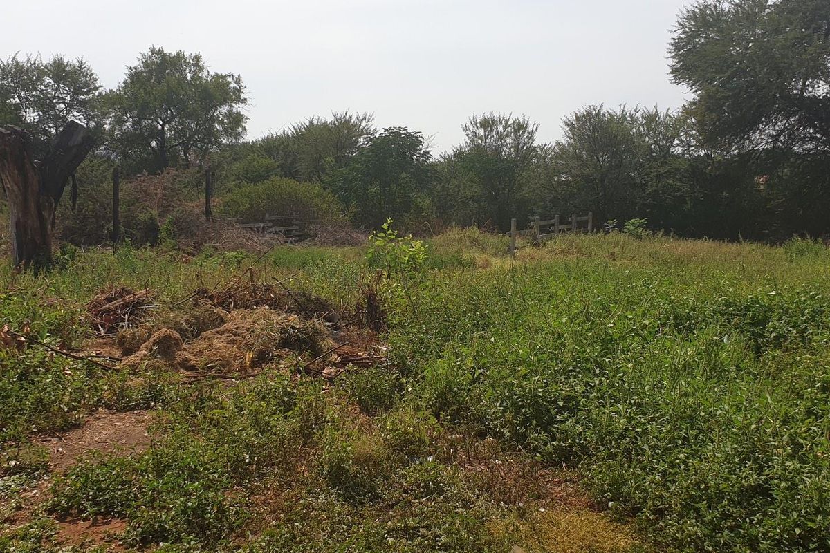 Land for Sale - Photo 2