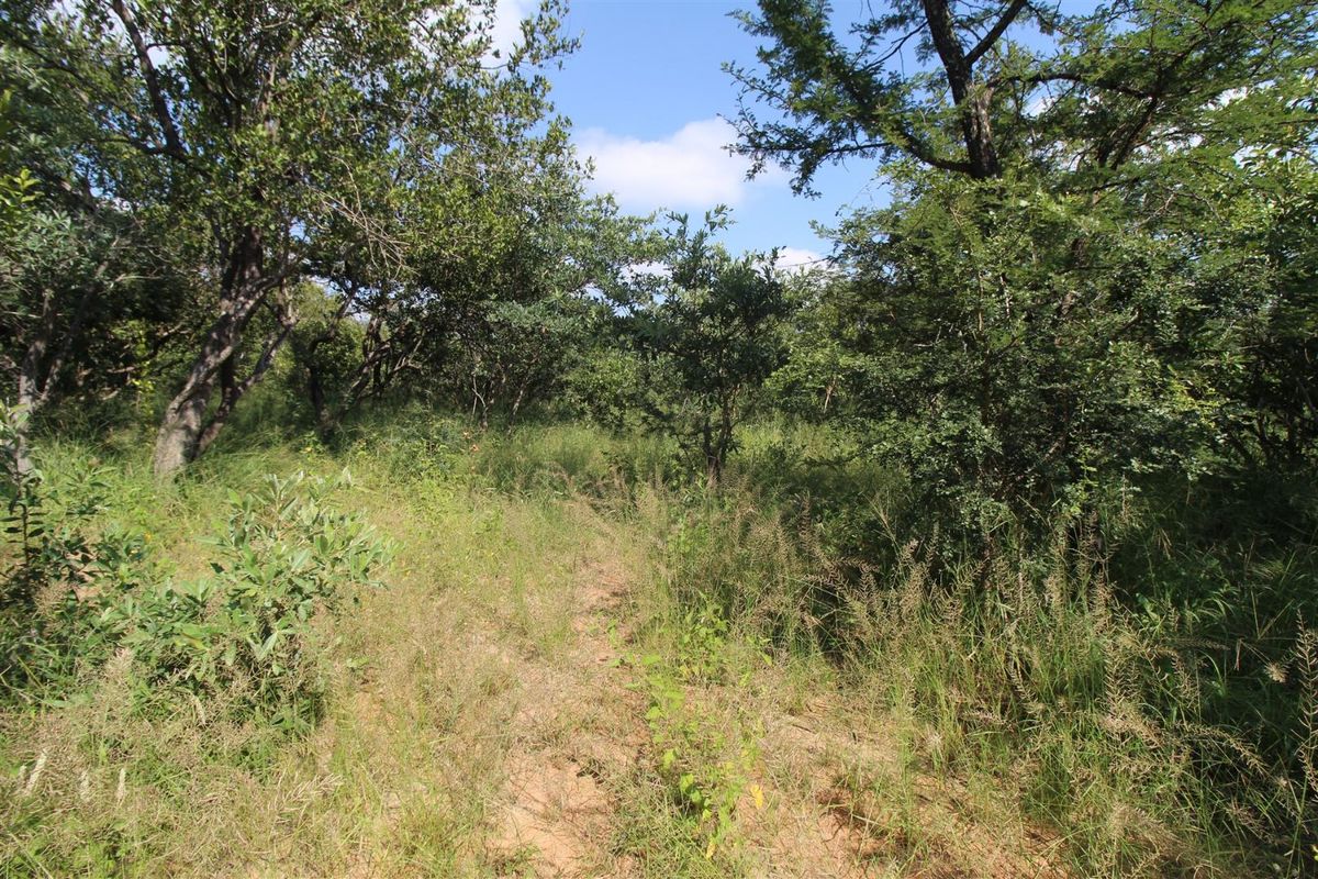A view of the vacant residential land featuring established native trees and natural vegetation cover.
