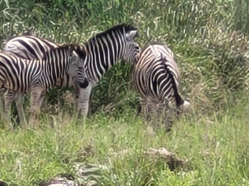 400m2 Stand Level Stand - Photo 10