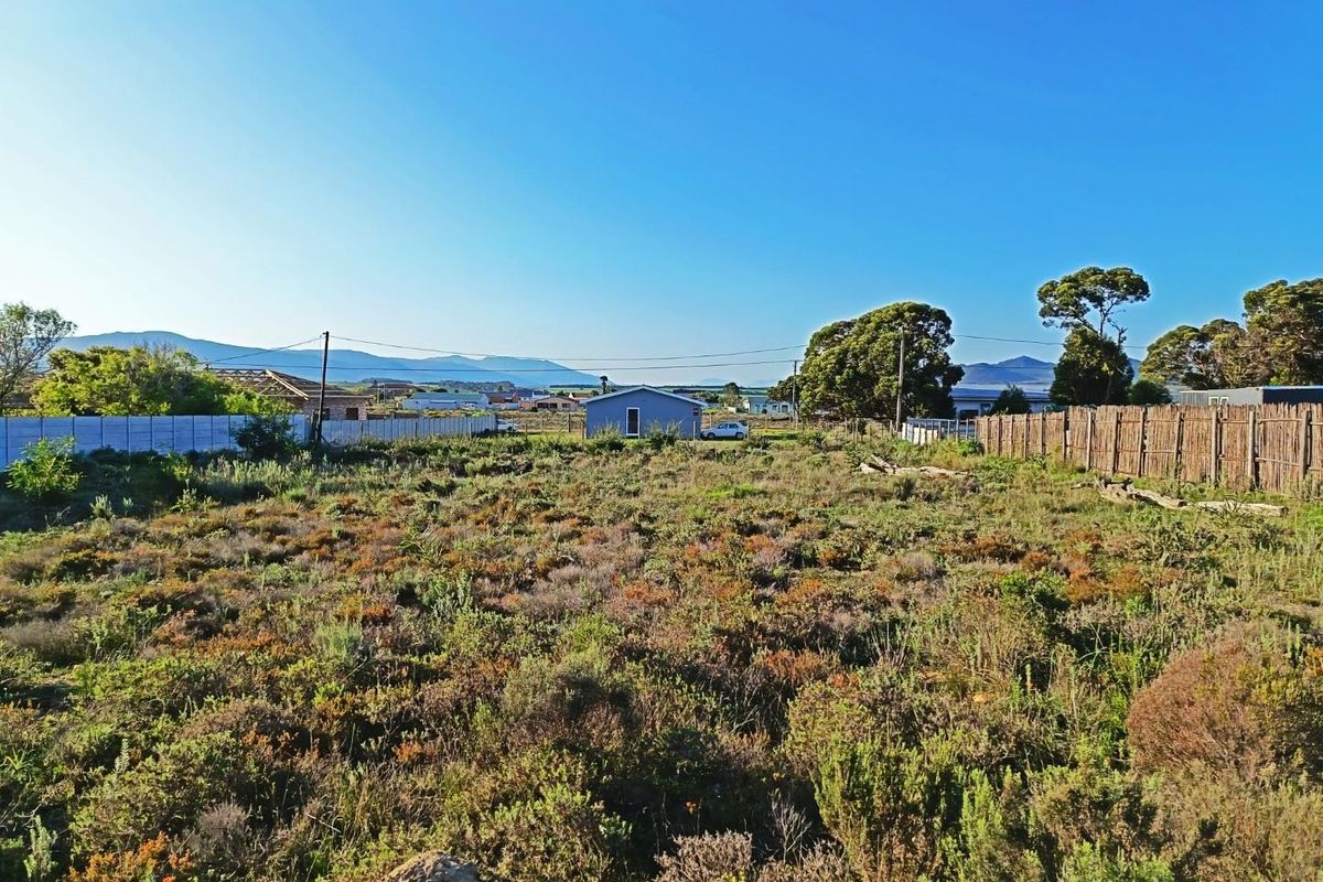 Big Skies,  Big Dreams! - Photo 2