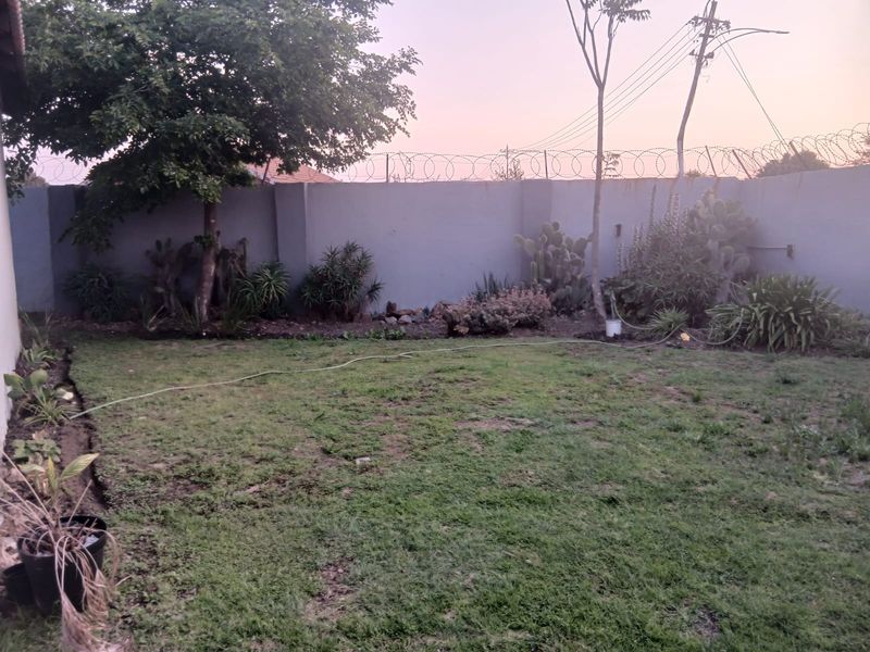 A private rear garden featuring a perimeter wall with security razor wire and established garden beds with various cacti and shrubs.
