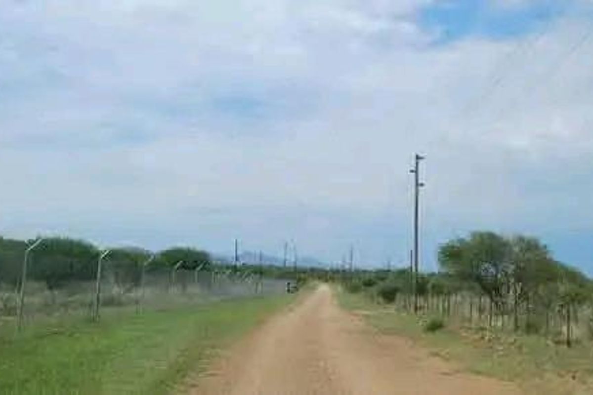 PLOT IN OSONA - Photo 2