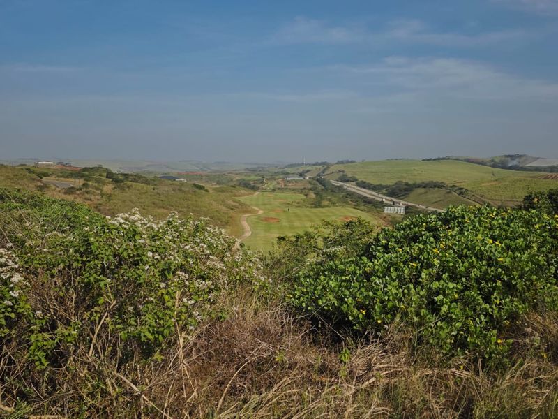 A scenic elevated view overlooking rolling green hills and natural landscape, showcasing the expansive terrain of the vacant residential land.