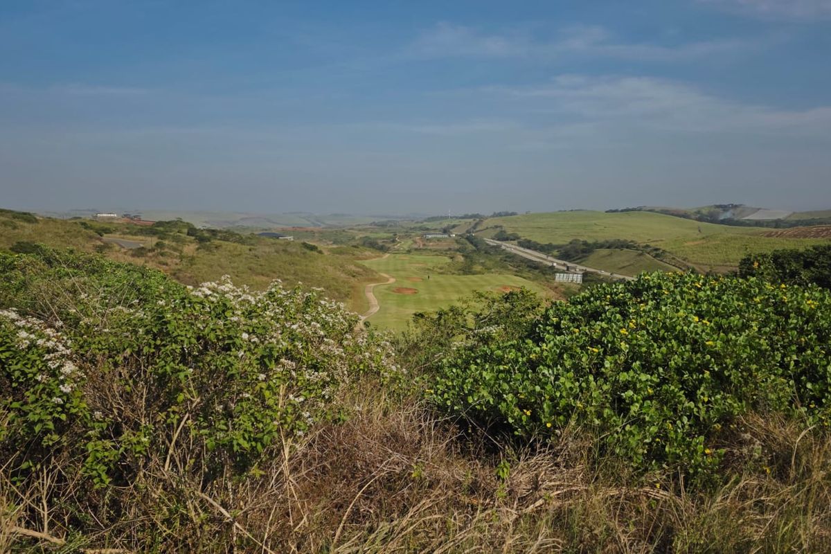 A scenic elevated view overlooking rolling green hills and natural landscape, showcasing the expansive terrain of the vacant residential land.