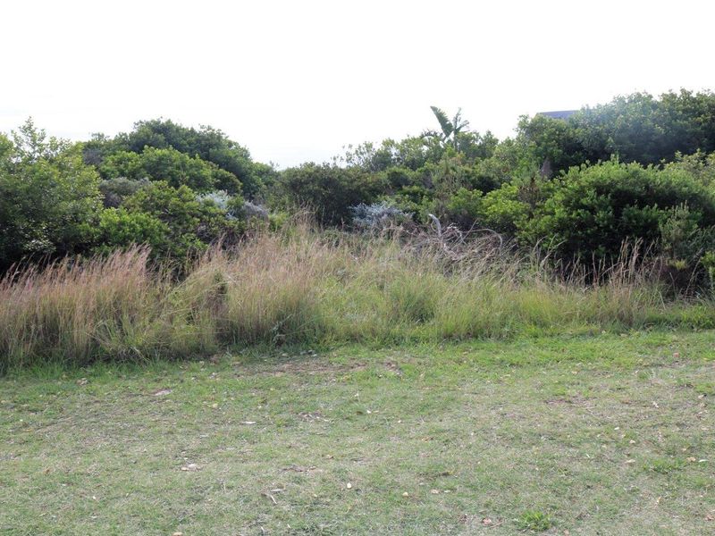 Investor's Dream: 10,839.52m2 Vacant Land for Sale! - Photo 4