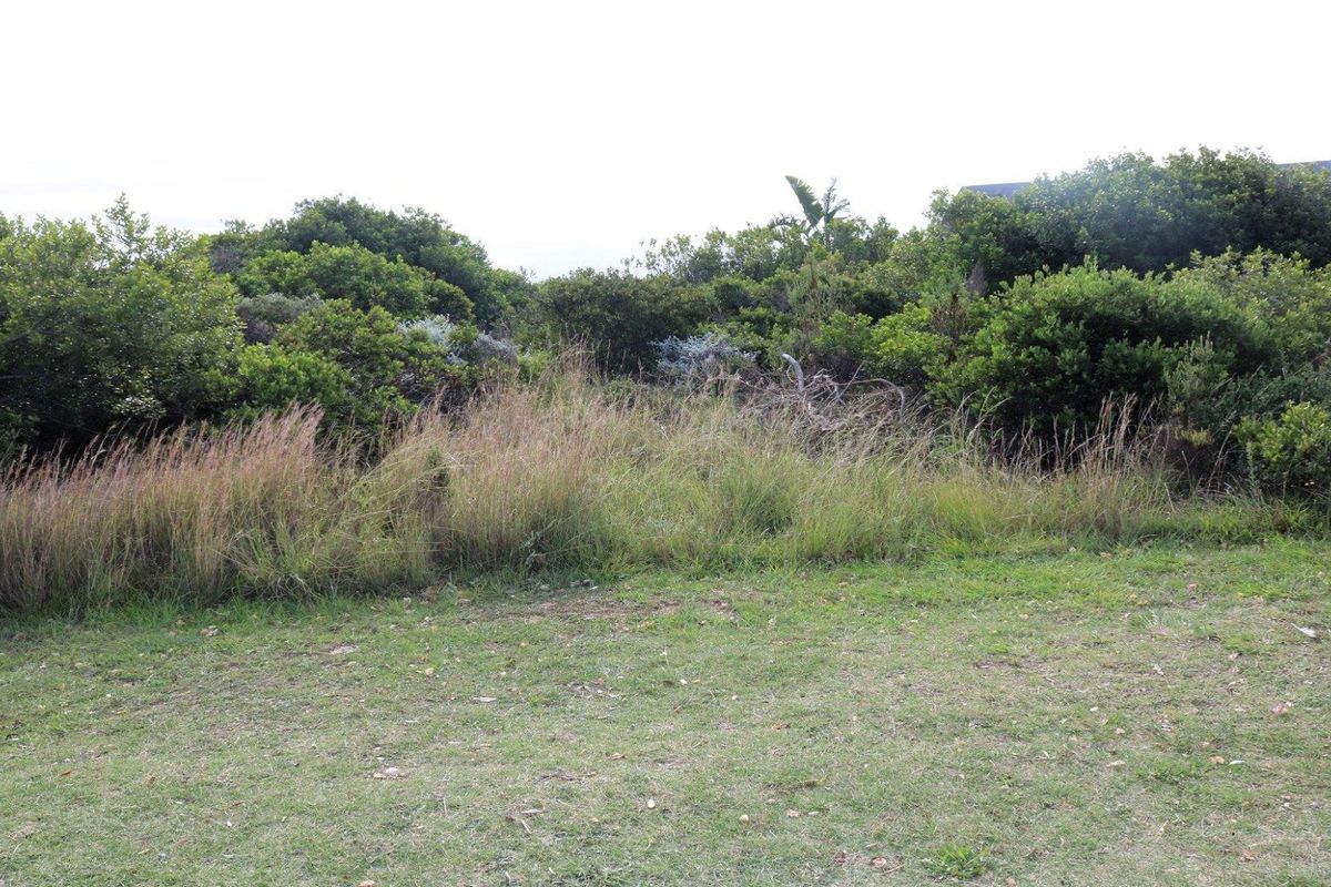 Investor's Dream: 10,839.52m2 Vacant Land for Sale! - Photo 4