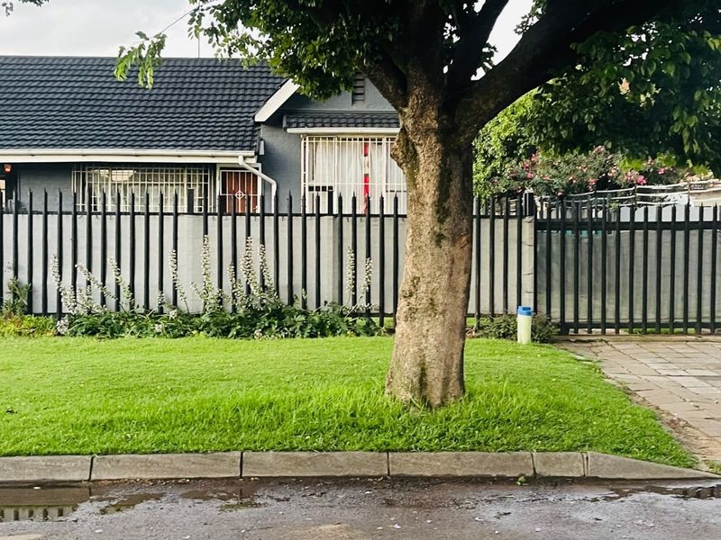Front view of the property featuring a manicured lawn, mature tree, and secure metal perimeter fencing with a gated driveway entrance.