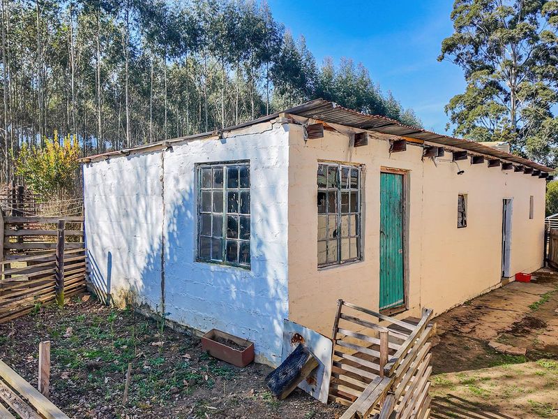 INCOME- GENERATING 2.2 HECTARES SMALLHOLDING IN DARGLE/ KZN MIDLANDS - Photo 9