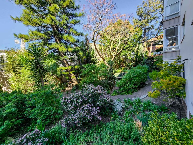 RENOVATORS DELIGHT - Photo 8