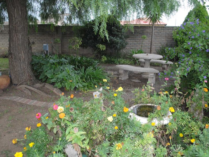 Lovely Family Home Spacious yard with pool fully Backup Generator and  6.7kva battery system - Photo 7