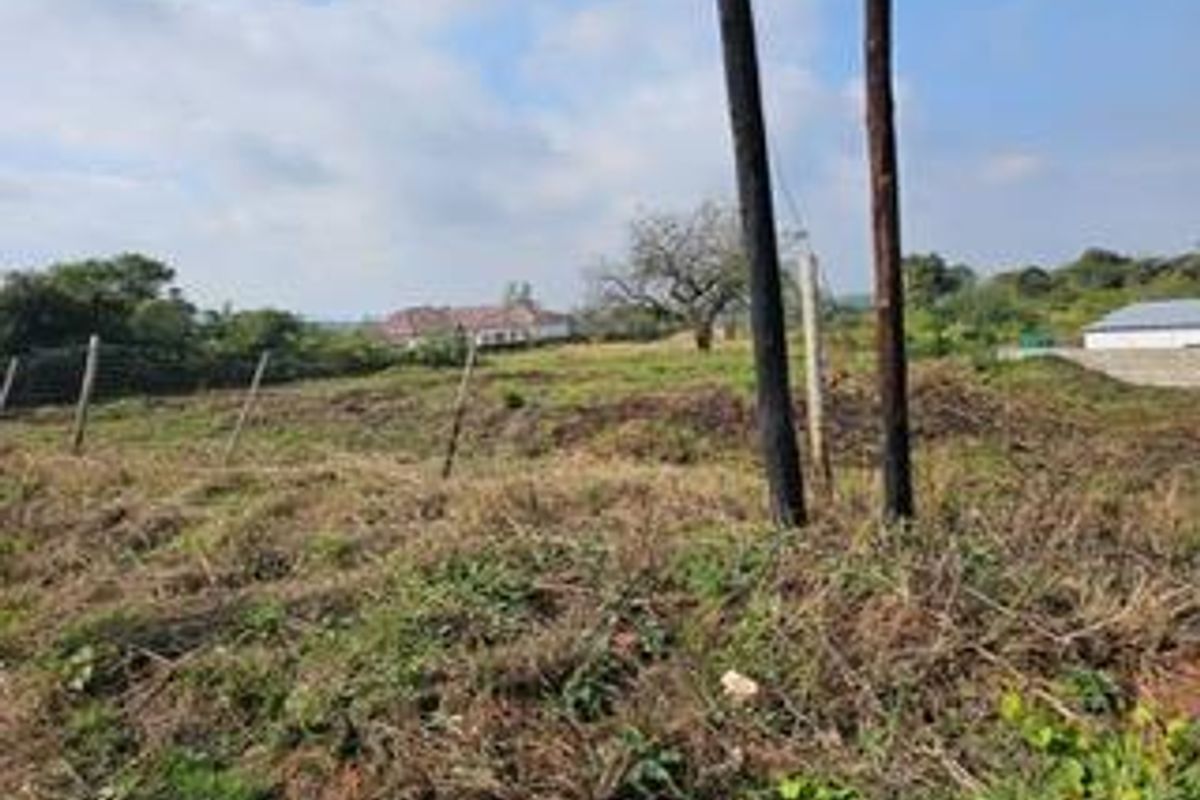 A view of a vacant residential plot featuring natural vegetation, wire fencing, and utility poles on the property boundary.