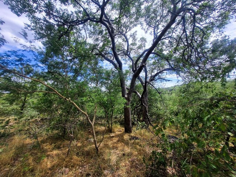 Excellent location - Photo 7