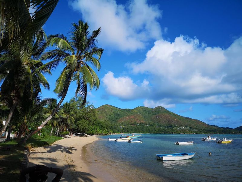 A scenic view of a sandy beach coastline with palm trees, calm turquoise waters, and distant mountain landscapes.