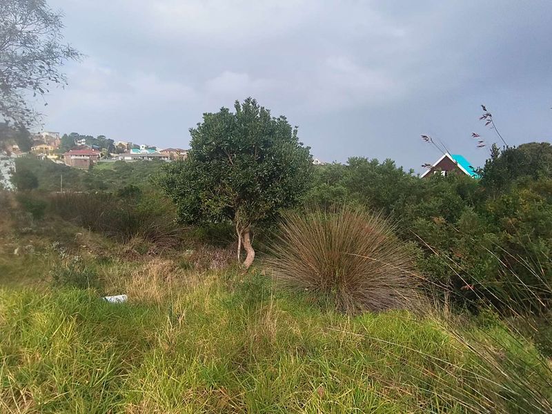 910m2 Vacant Land with Sea View in a Distance for Sale in Dana Bay - Photo 3