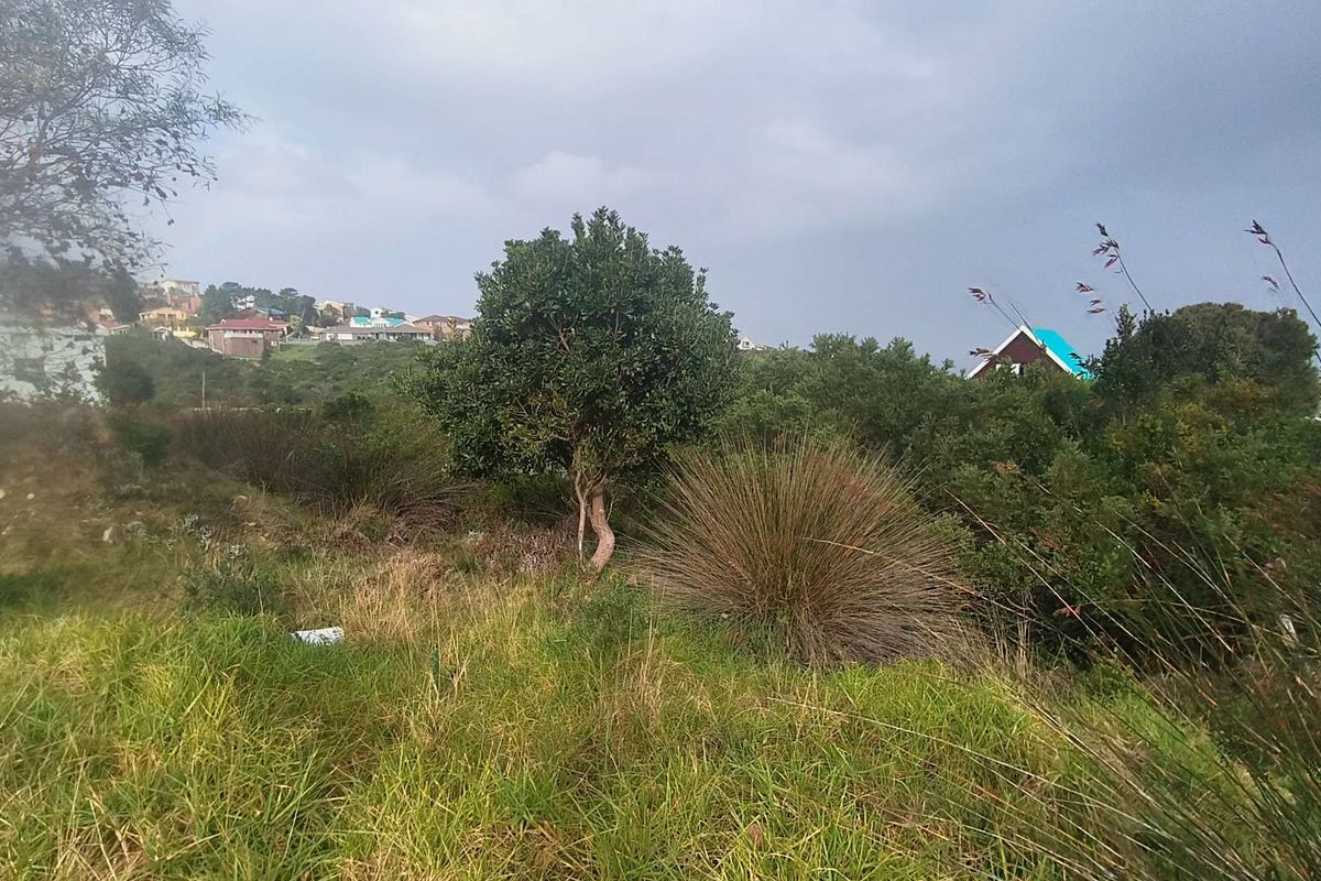 910m2 Vacant Land with Sea View in a Distance for Sale in Dana Bay - Photo 3