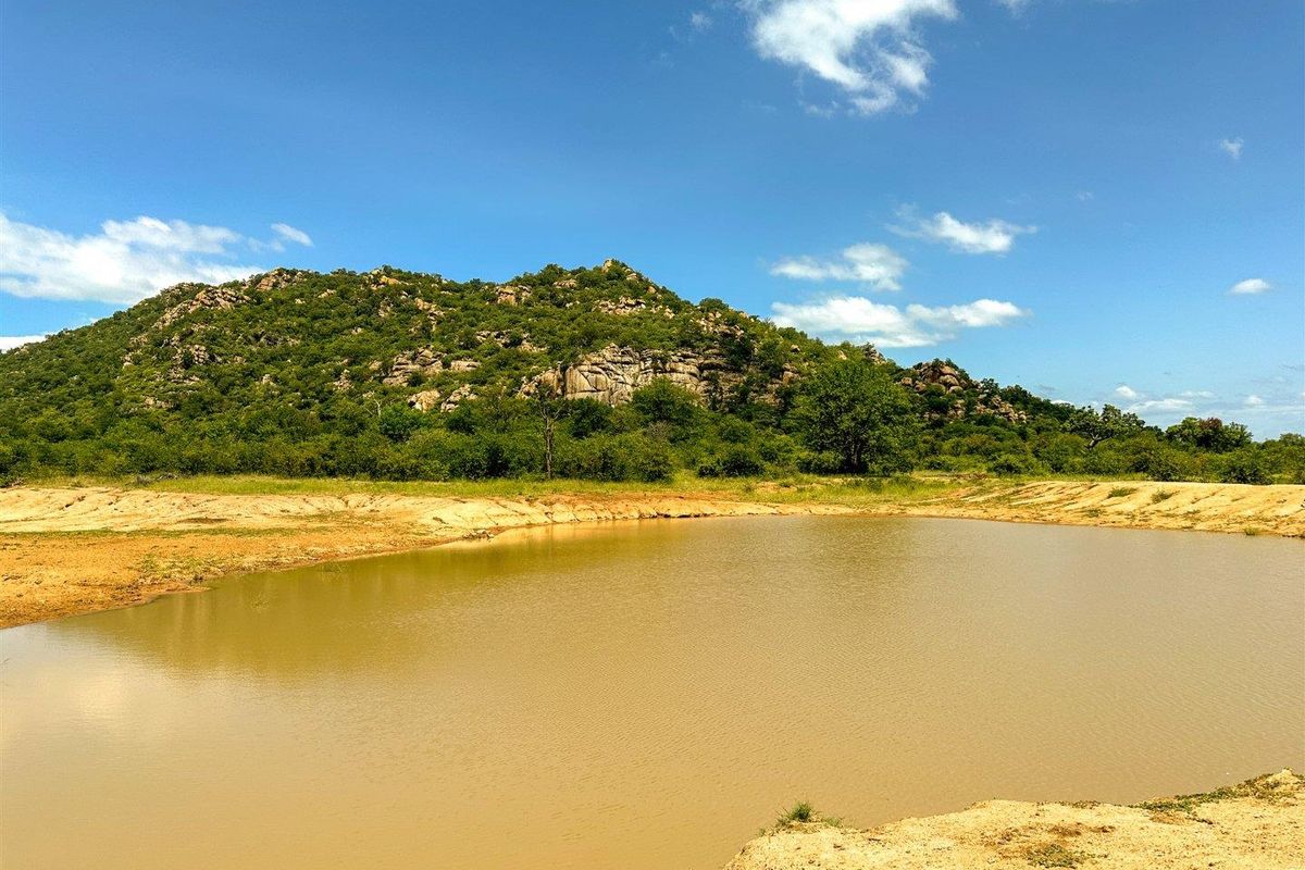 Big 5 game farm with extensive traversing - Photo 2