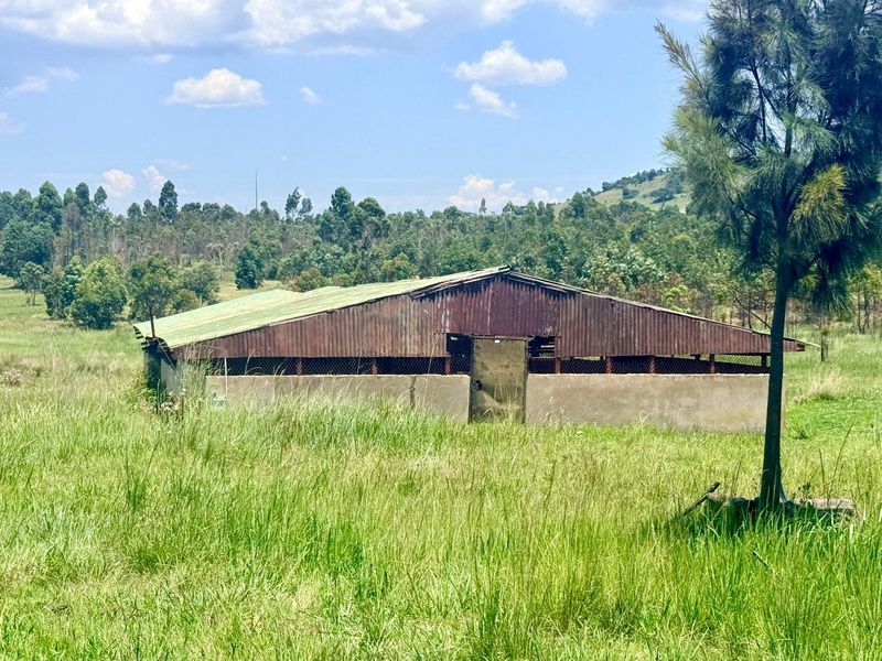 Smallholding for sale in Vryheid area - Photo 3