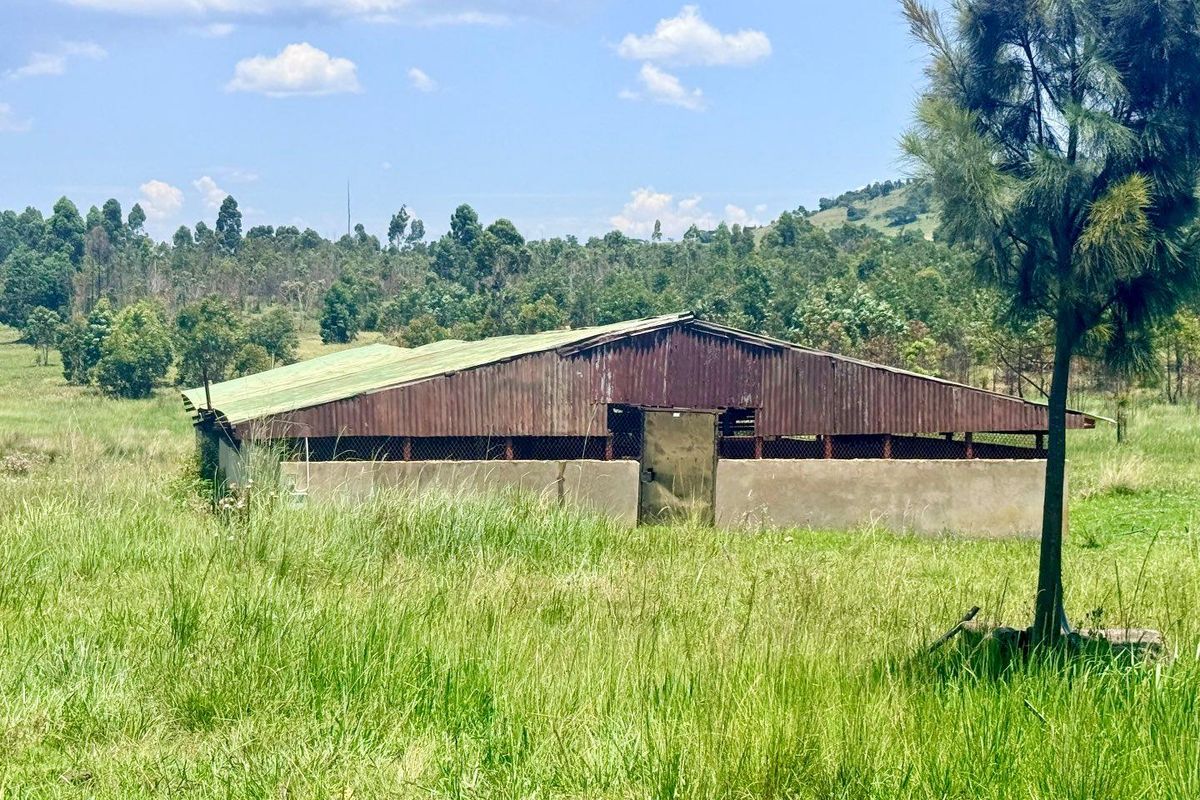 Smallholding for sale in Vryheid area - Photo 3