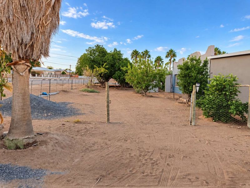 A spacious, undeveloped garden area featuring mature trees, chain-link fencing, and open ground, offering significant potential for landscaping and outdoor improvement.