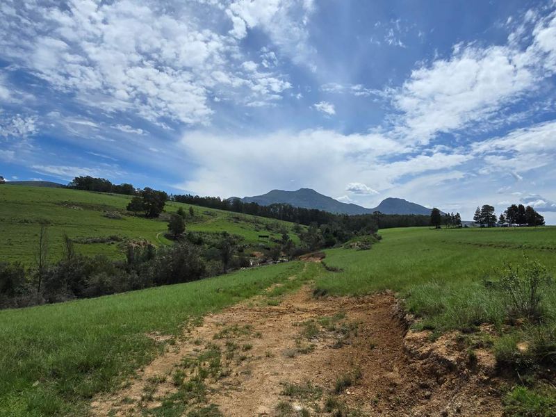 Spectacular Agricultural Opportunity in Ruiterbosch - Photo 3