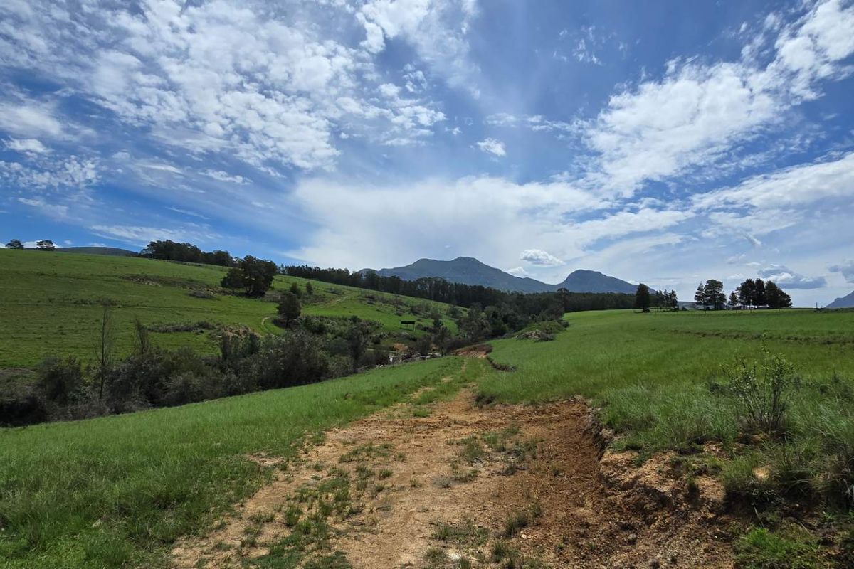 Spectacular Agricultural Opportunity in Ruiterbosch - Photo 3