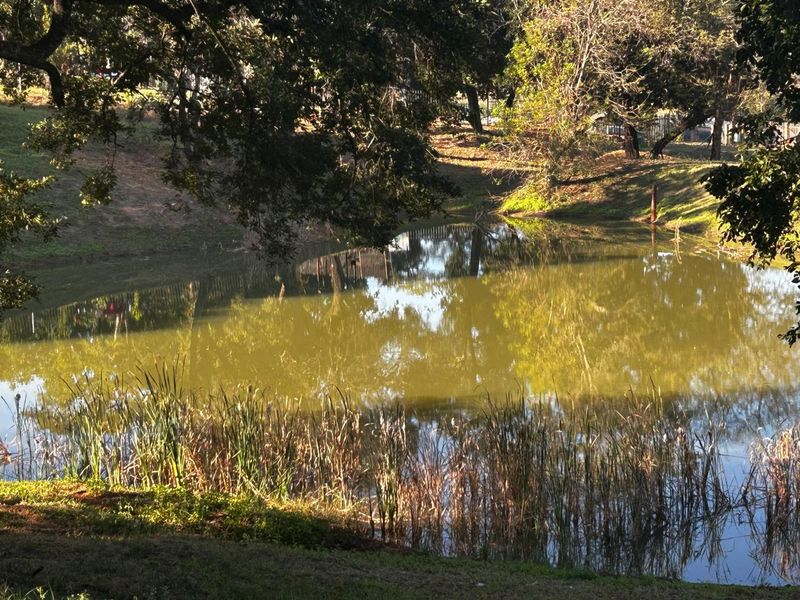 Countryside Living Meets Commercial Potential! - Photo 5