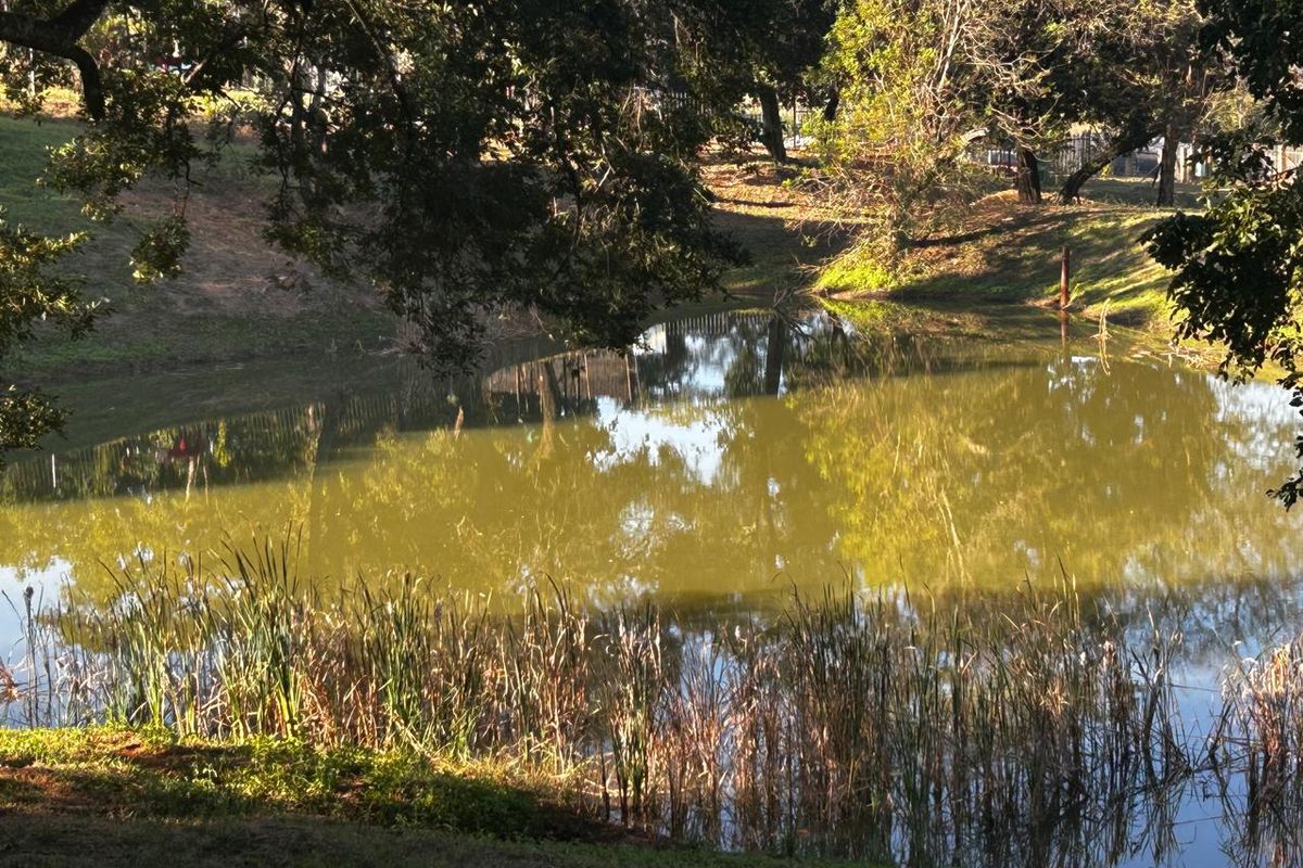 Countryside Living Meets Commercial Potential! - Photo 5