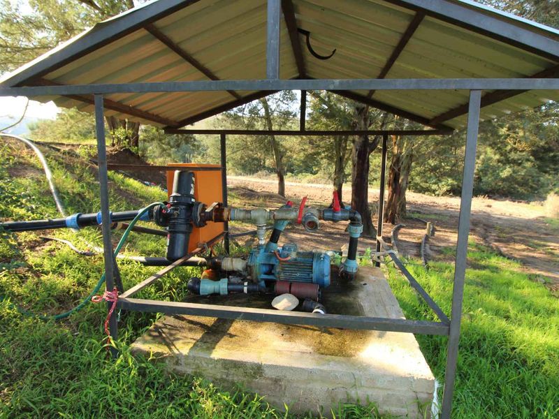 Farm 13 km from Hartenbos - Photo 8