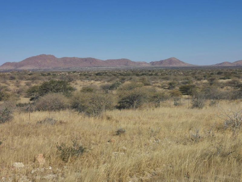 Beautiful farmland with endless possibilities - Photo 7