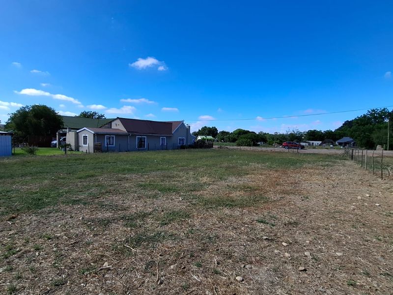 Dream Big: Subdividable Plot in Historic Heidelberg - Photo 5