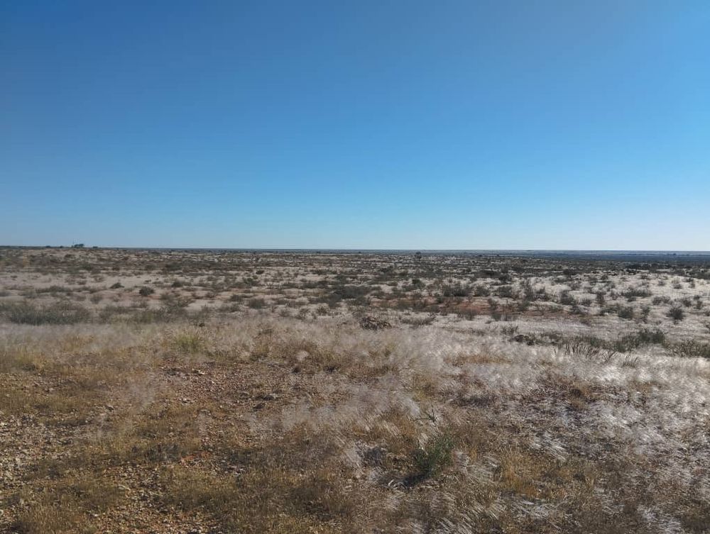 overview of farm land