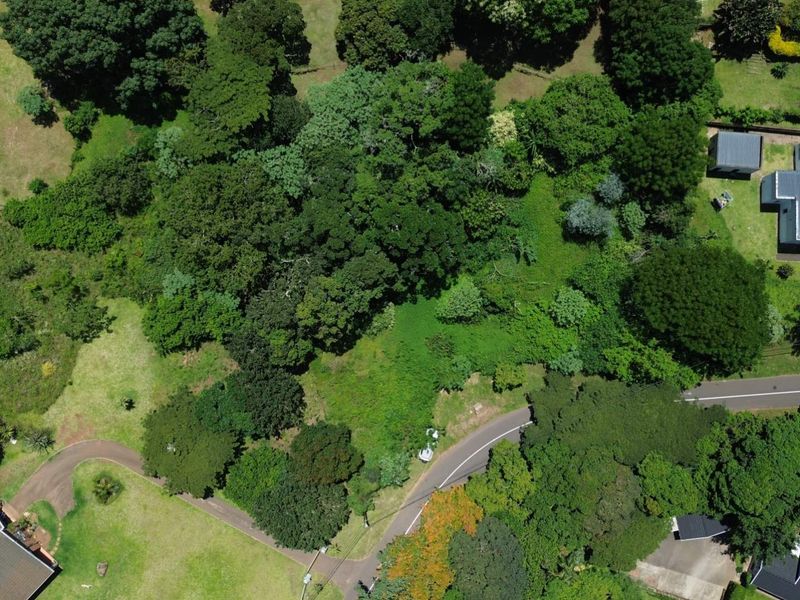 Vacant Land with Massive Potential in Crestholme! - Photo 2