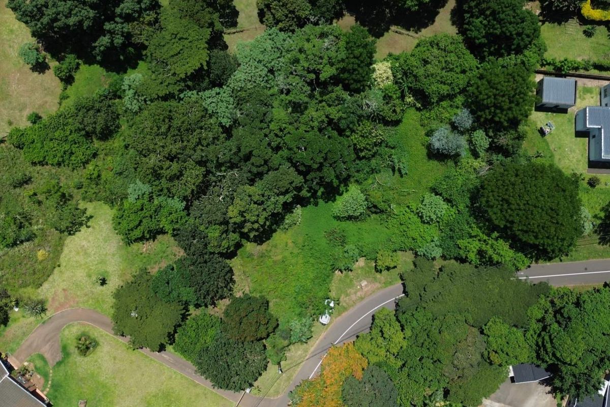 Vacant Land with Massive Potential in Crestholme! - Photo 2