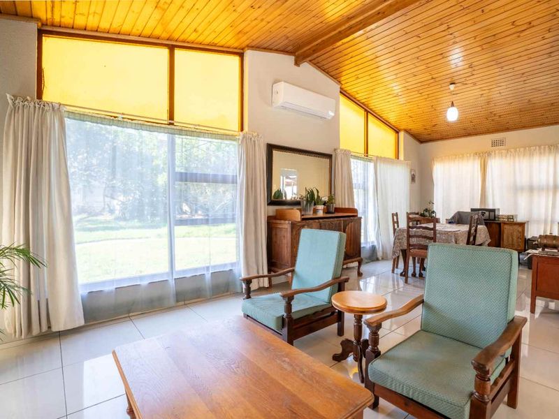 Spacious open-plan living and dining area featuring a high timber-clad vaulted ceiling, large windows for natural light, and tiled flooring throughout.