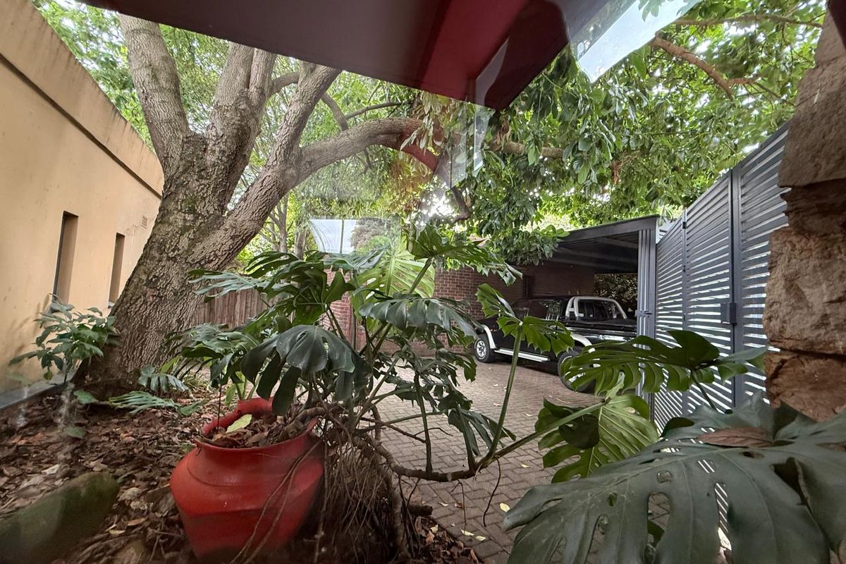 View of a paved driveway area featuring a carport structure, mature trees, and perimeter fencing.