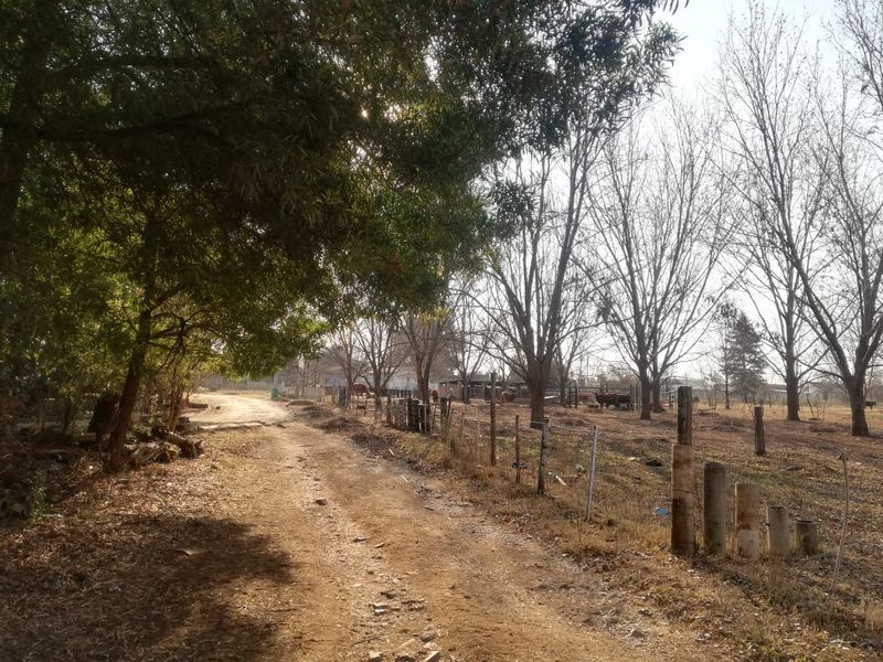 8.6ha Riverfront Farm | 400 Pecan Trees & Multiple Income Streams - Photo 6
