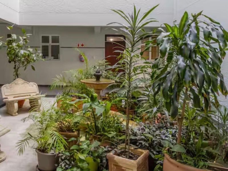 Most Sought After !   Airbnb 1 Bedroom on the Beach Front Sea Point ! - Photo 9