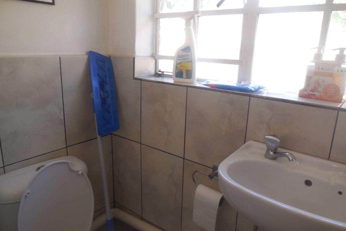 A functional bathroom featuring ceramic wall tiling, a pedestal washbasin, and a standard toilet, with natural light provided by a steel-framed window.