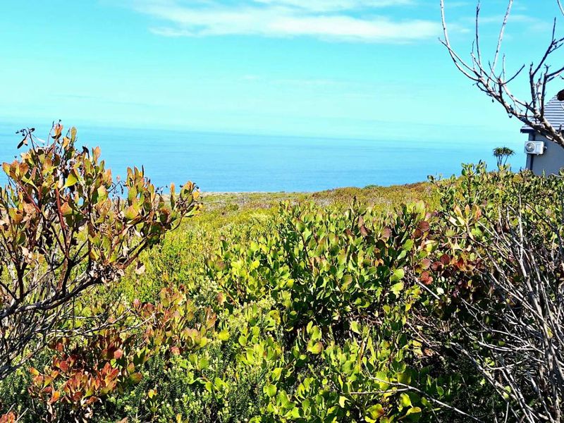 980m2 Vacant Land in Village on Sea with Stunning Ocean Views - Photo 3